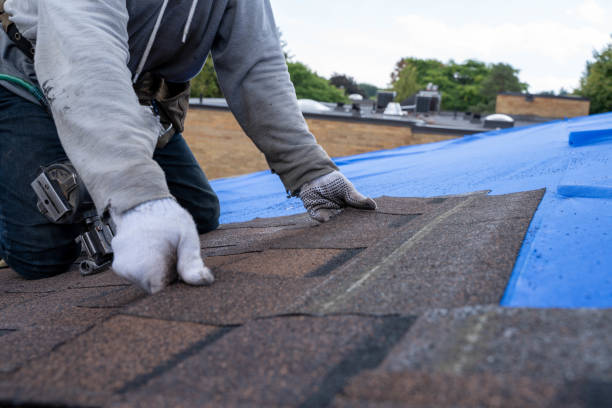 Best Metal Roofing Contractor  in Red Oak, NC